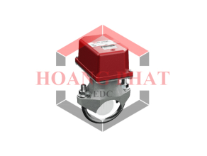 Công tắc giám sát dòng chảy DN100 VSR-4